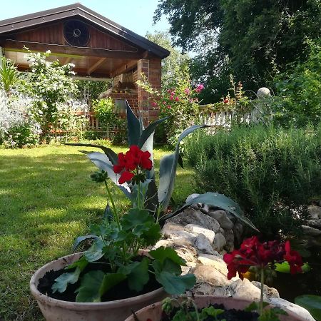 Apartment Cajt Умаг Экстерьер фото